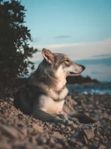 The Power of Solitude: How Being Alone Can Boost Your Productivity